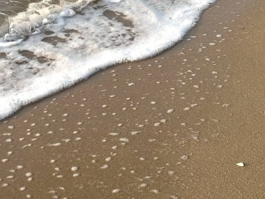 Sahilde dalgalar var.