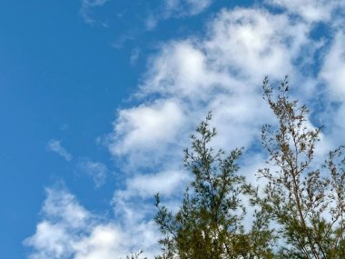  Bulutlar ve mavi gökyüzü 