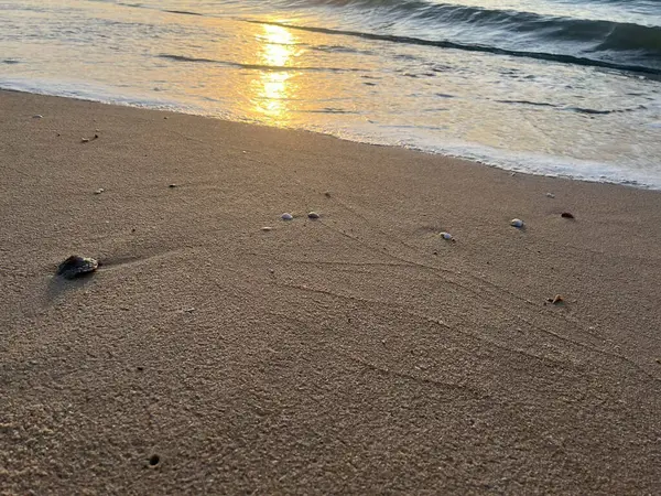 Sabah deniz ve sahil günbatımında
