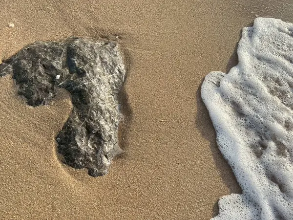 Sahilde kayalar ve beyaz köpük dalgaları