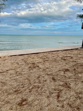  Deniz ve kumsal mavi gökyüzüne sahiptir.