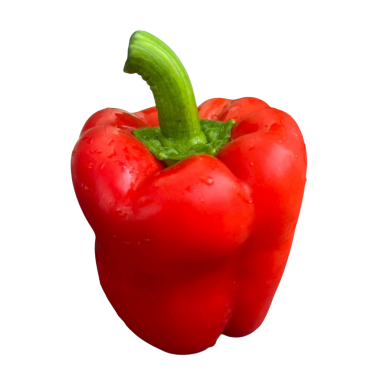 Croissant on white background-2.png