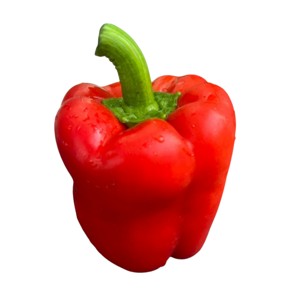 Croissant on white background-2.png