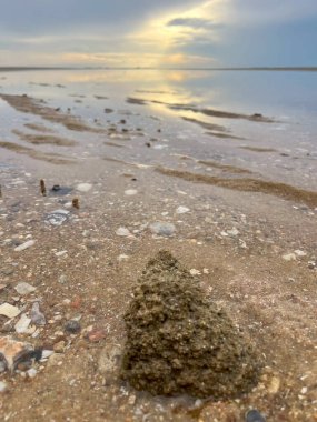  Deniz kabuğu ve kumsal sabah