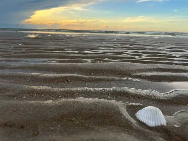 Sabah deniz ve kumsal.