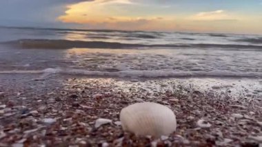 Sabahları deniz ve sahil