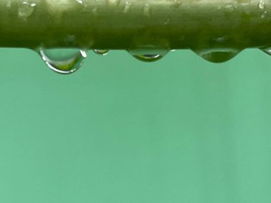 Su yeşil yaprağa düşer.