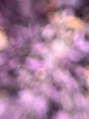  Bulanık mor arka plan