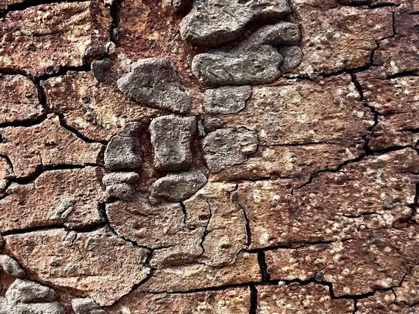 Eski ağaç kabuğu arkaplanı