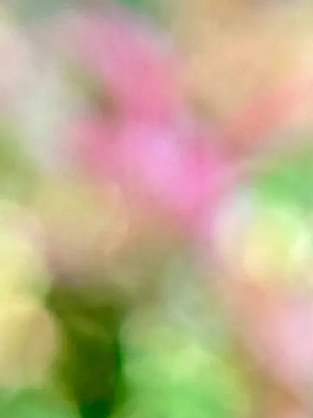 Yakın plan, doğal ışık bulanık arkaplan