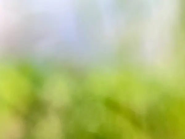 Yakın plan, doğal ışık bulanık arkaplan 