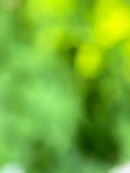  Yakın plan, doğal ışık bulanık arkaplan 