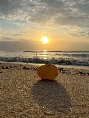  Gün batımında deniz ve kumda deniz kabukları