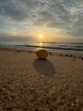  Gün batımında deniz ve kumda deniz kabukları