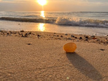  Gün batımında deniz ve kumda deniz kabukları