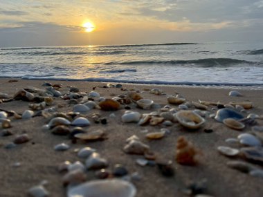  Gün batımında deniz ve kumda deniz kabukları