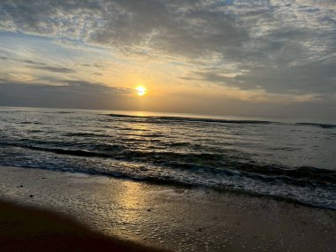 Sabah sahilde deniz kabuğu