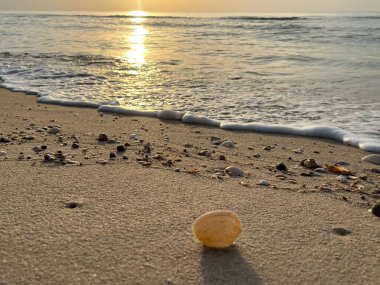  Sabah deniz ve kumsal.