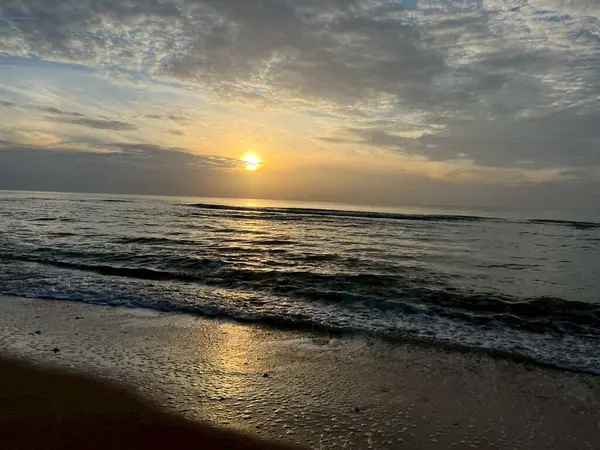 Sabah sahilde deniz kabuğu