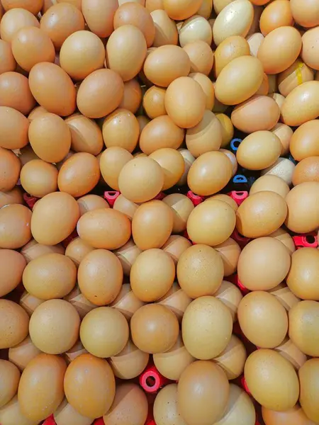 Süpermarkette kahverengi yumurta yığınına yakın.