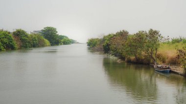 Bereketli yeşil ağaçları, durgun suları, geleneksel ahşap teknesi, sakin atmosferi, huzurlu izolasyonu, geleneksel ahşap teknesi sağa demirlemiş, doğal olarak huzurlu manzara fotoğrafçılığı. 