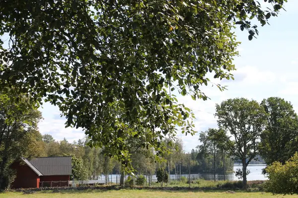 Idyllic İsveç Kırsal Arazisi