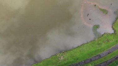 Açık Bir Gün 'de ParqueTingui, Curitiba Serene Lakes, Araucaria Forest ve Yerel Anıt İnsansız Hava Aracı Panoraması