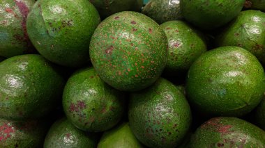 Arka plan olarak taze avokado, yakın plan