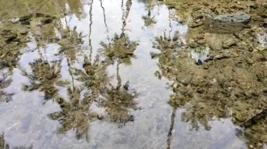 su arka planı. Nehir suyu durgun beyaz kumda akıyor.