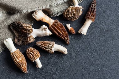 Morel mantarları siyah arkaplanda yakınlaşır. Boşluğu kopyala