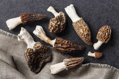 Morel mantarları siyah arkaplanda yakınlaşır. Düz Yatay