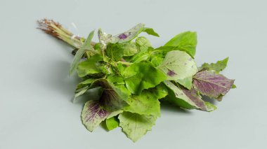 Beyaz arka planda taze mor fesleğen otu