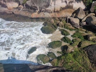 Yeşil yosunlarla kaplı taşlı sahil manzarası. Deniz dalgaları kayalarda yavaşça kırılır. Kayaların yüzeyi, dalgaların beyaz köpüğüyle karışır ve alglerin yeşiliyle çelişir..