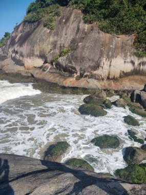 Yosun kaplı kayalara çarpan dalgalarla dolu sakin bir plajı gösteren güzel doğal bir sahne. Yeşil bitki örtüsüyle çevrili büyük kaya oluşumları dingin ve rahatlatıcı bir atmosfer yaratır..