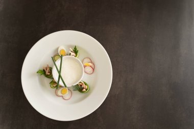 Koyu gri arka planda lezzetli okroshka servis etmeye hazır. Canlı bir salatalık, turp, haşlanmış yumurta, jambon, ekşi krema, dereotu, maydanoz karışımı Okroshka 'nın özünü güzel bir şekilde somutlaştırır..