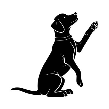 Dilenci köpek silueti ön pençeleriyle oturuyor şirinliği ve hileli eğitimleri ifade ediyor.