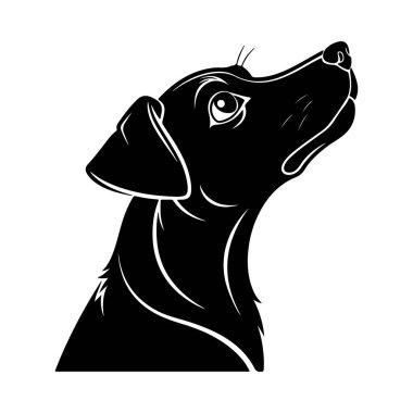 Meraklı köpek yüzü silueti, evcil hayvan tasarımlarındaki meraklı ifadeler için ideal.