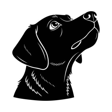 Tasarım projelerinde dikkati ve oyunculuğu aktaran kafası eğik meraklı köpek yüzü silueti