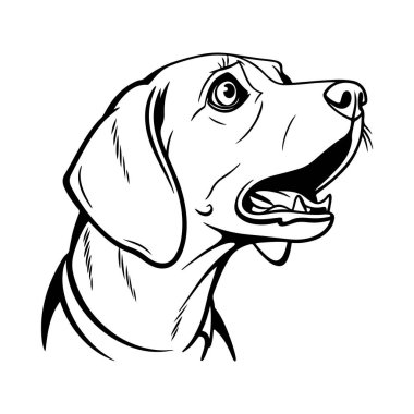 İfade veren köpek yüzlü, sarkık kulaklı ve geniş gözlü. Endişe ve şaşkınlığı ifade etmek için birebir.