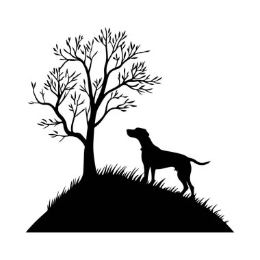 Küçük tepedeki köpek duruşu vahşi doğayı keşfetme ya da bağımsızlığı çağrıştırıyor.