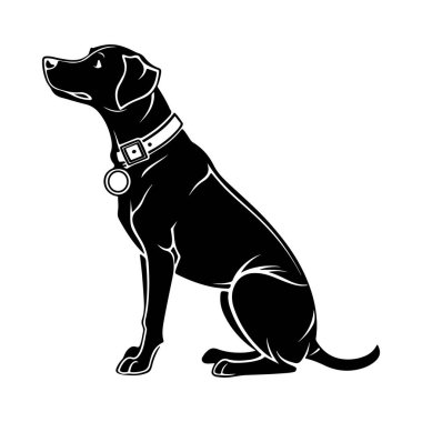 Köpek silueti, evcil hayvan tanımlama teması ya da tabela için mükemmel yuvarlak isimlikli bir tasma takıyor.