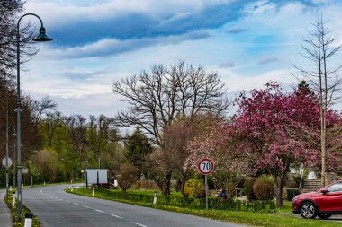 Kırsal bir yol çizen çiçek açan ağaçlar. Pembe çiçek ağaçlarıyla süslenmiş huzurlu bir kırsal yol, saatte 70 km hız sınırı işareti ve Avusturya 'nın Leibnitz kenti yakınlarında parçalı bulutlu bir gökyüzünün altında zarif sokak lambaları..