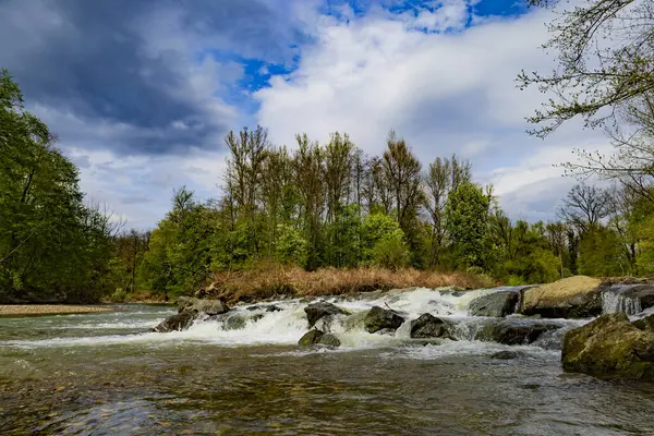 Sükunet Nehir Yabanın Ortasında Akıyor. Huzurlu bir nehir gür ormanların arasında kıvrılır, kayaların üzerinden çağlayarak bulutlu ve bulutlu bir gökyüzünün altında yumuşak akıntılara doğru akar.