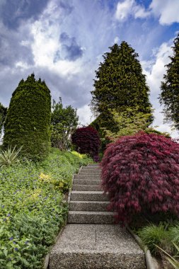 Berrak yapraklı Serene Garden Pathway. Serin yeşillik ve canlı kırmızı yapraklarla çevrili taş basamaklardan oluşan pitoresk bir bahçe yolu, dingin ve huzurlu bir ortama götürüyor..
