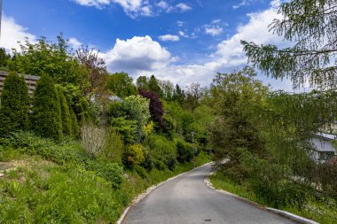 Berrak Yeşillik 'le Sakin Kırsal Yol. Bereketli yeşillik ve parlak mavi bir gökyüzünün altında kabarık bulutlarla çevrili güzel, dolambaçlı bir yol. Doğa meraklıları ve manzara fotoğrafçılığı için mükemmel.