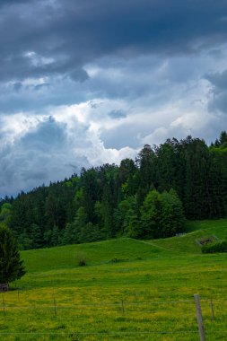 Çarpıcı, bulutlu bir gökyüzü altında yemyeşil çayır ve sık bir ormanın yer aldığı pitoresk bir manzara. Parlak yeşillik ve karanlık, fırtınalı bulutlar arasındaki zıtlık büyüleyici ve sakin bir atmosfer yaratır.