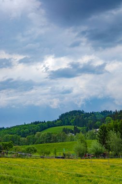 Bu resim yuvarlanan yeşil tepeler, yoğun ormanlar ve dramatik, bulutlu bir gökyüzü altında canlı bir çayır ile pitoresk bir kırsal alan yakalar. Yeşillik ve fırtınalı bulutlar arasındaki zıtlık büyüleyici bir manzara yaratır.