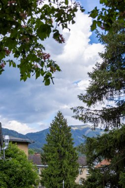 Yeşillik ve Bulutlu Gökyüzü ile Manzaralı Dağ Manzarası. Bereketli ağaçlar ve bulutlu bir gökyüzü tarafından çerçevelenmiş dağların resimli görüntüsü..