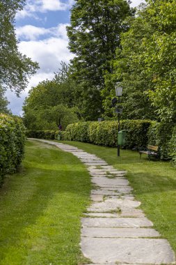 Doğa tarafından çevrili Cozy Park Yürüyüşü. Bereketli yeşilliklerle çevrili sakin bir yol, rahatlama ve yansıma için mükemmel..