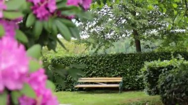 Blooming Garden 'daki Tranquil Wooden Bench. Canlı çiçekler ve yeşilliklerle çevrili, yemyeşil bir bahçeye kurulmuş büyüleyici bir ahşap bank..